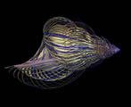 Image fractale 3D escargot 