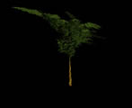 Image fractale 3D arbre 